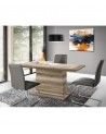 Mesa comedor extensible pata central THEO